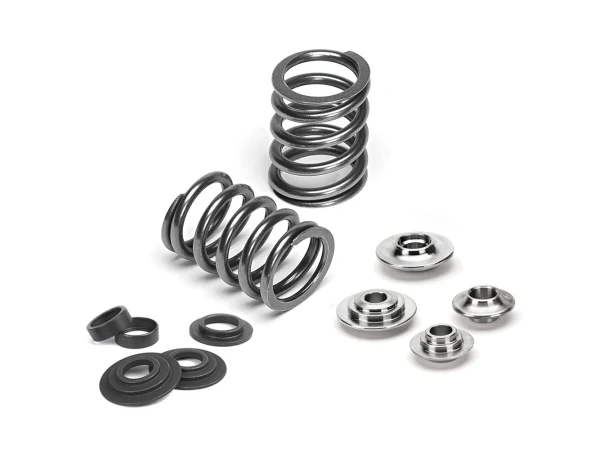 Supertech Valve Spring Kit BMW S54